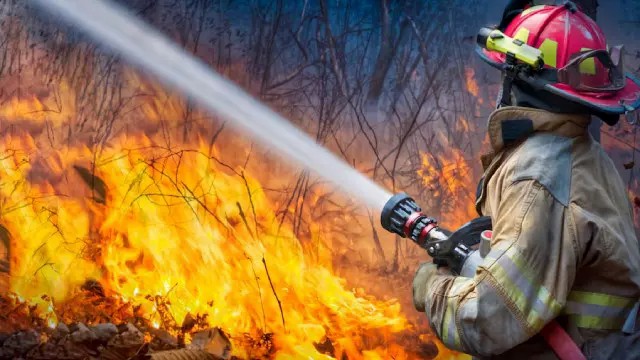 Fire Warden & Fire Marshal Training: Your Path to... - Working at Heights Training UK
