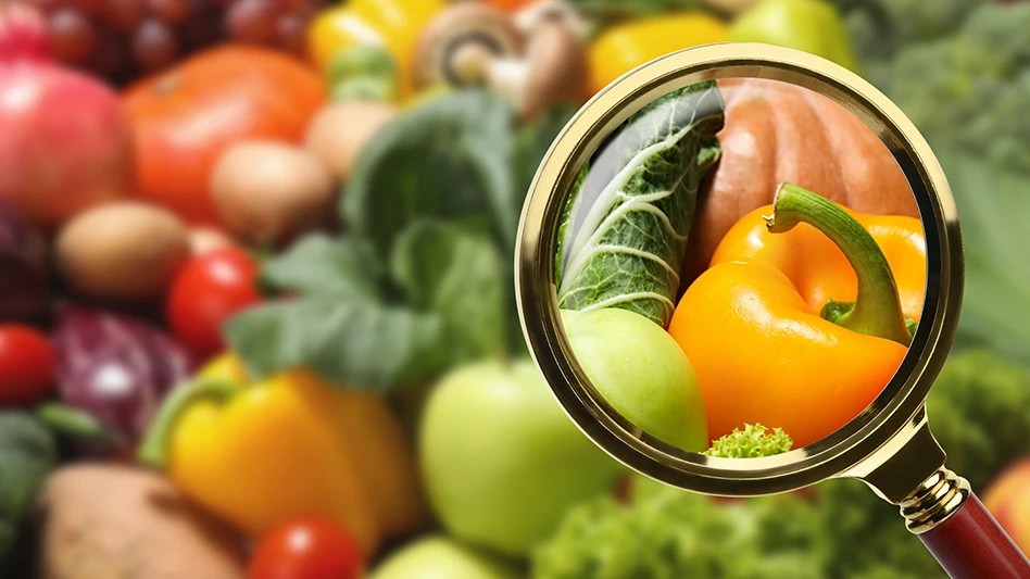 Elevate Your Food Business with HACCP Certification in... - Working at Heights Training UK